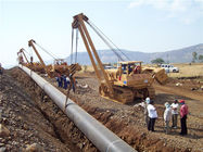Capacità di carico stimata della gru del tubo del macchinario della costruzione di strade di risparmio energetico 25 tonnellate