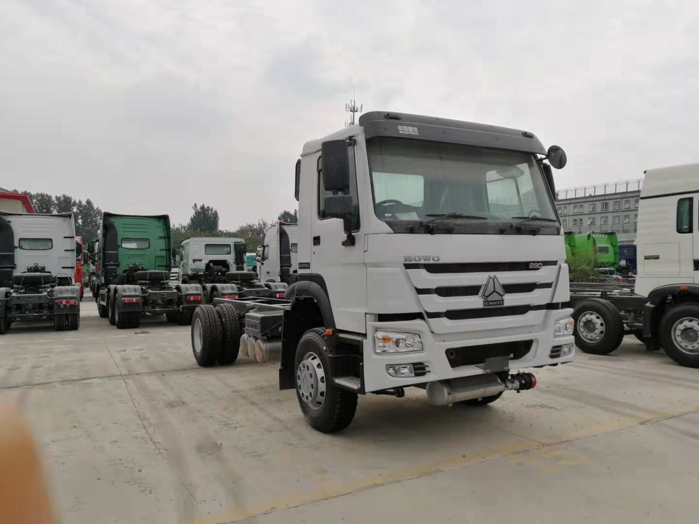Camion pesante del carico dell'euro 2 bianchi di colore 4x2 di HOWO con il motore di 290 HP e la direzione ZF8118
