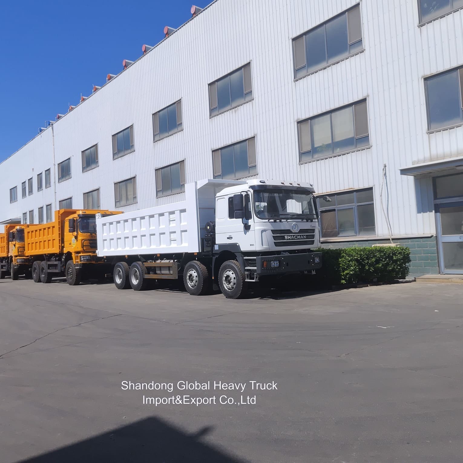 Autocarri ribaltabili Shacman F3000 X3000 FAW Benze Factory, Autocarri per trasporto merci