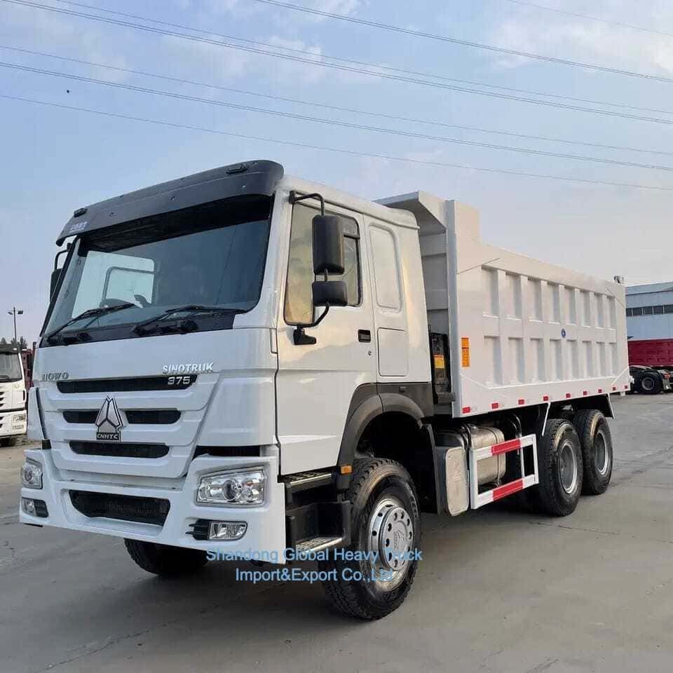 Veicoli di seconda mano 32 30 35 tonnellate Taper Diesel Used Sinotruck HOWO 6X4 Dump truck