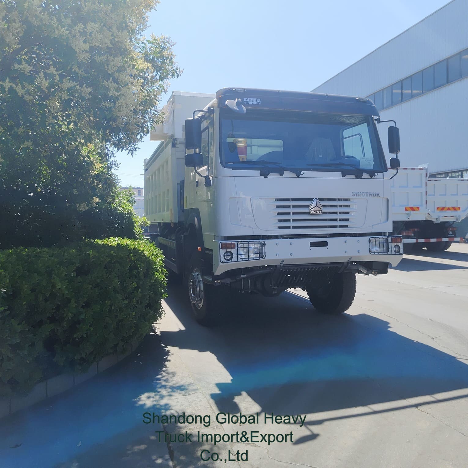Sinotruk HOWO 6X4 371HP 380HP 8X4 400HP Dumper Ribaltabile Autocarro Diesel Sinotruck
