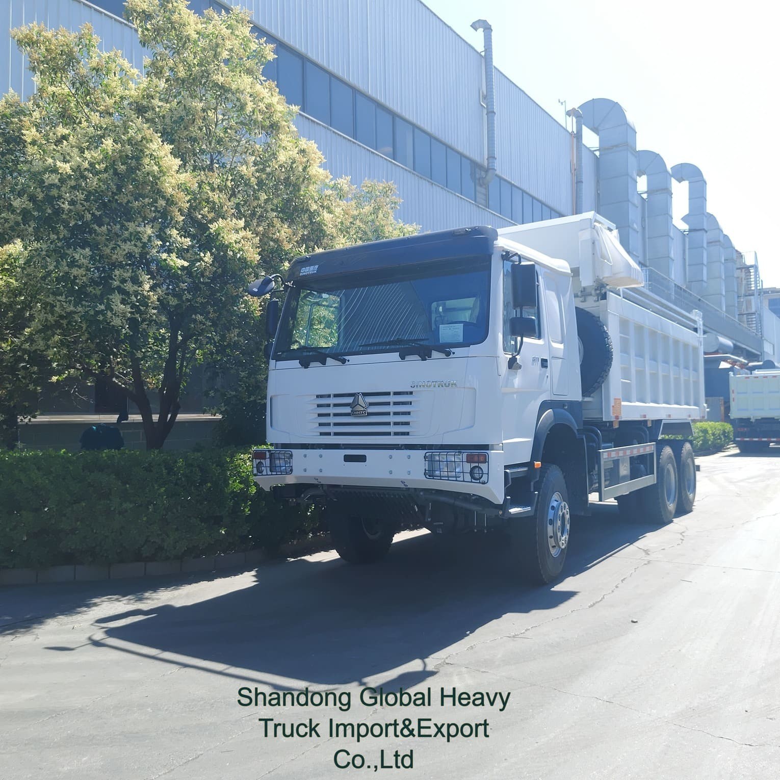 Vendita a caldo Sinotruk HOWO Nuovo produttore usato Cargo Tipping Tipper dump truck
