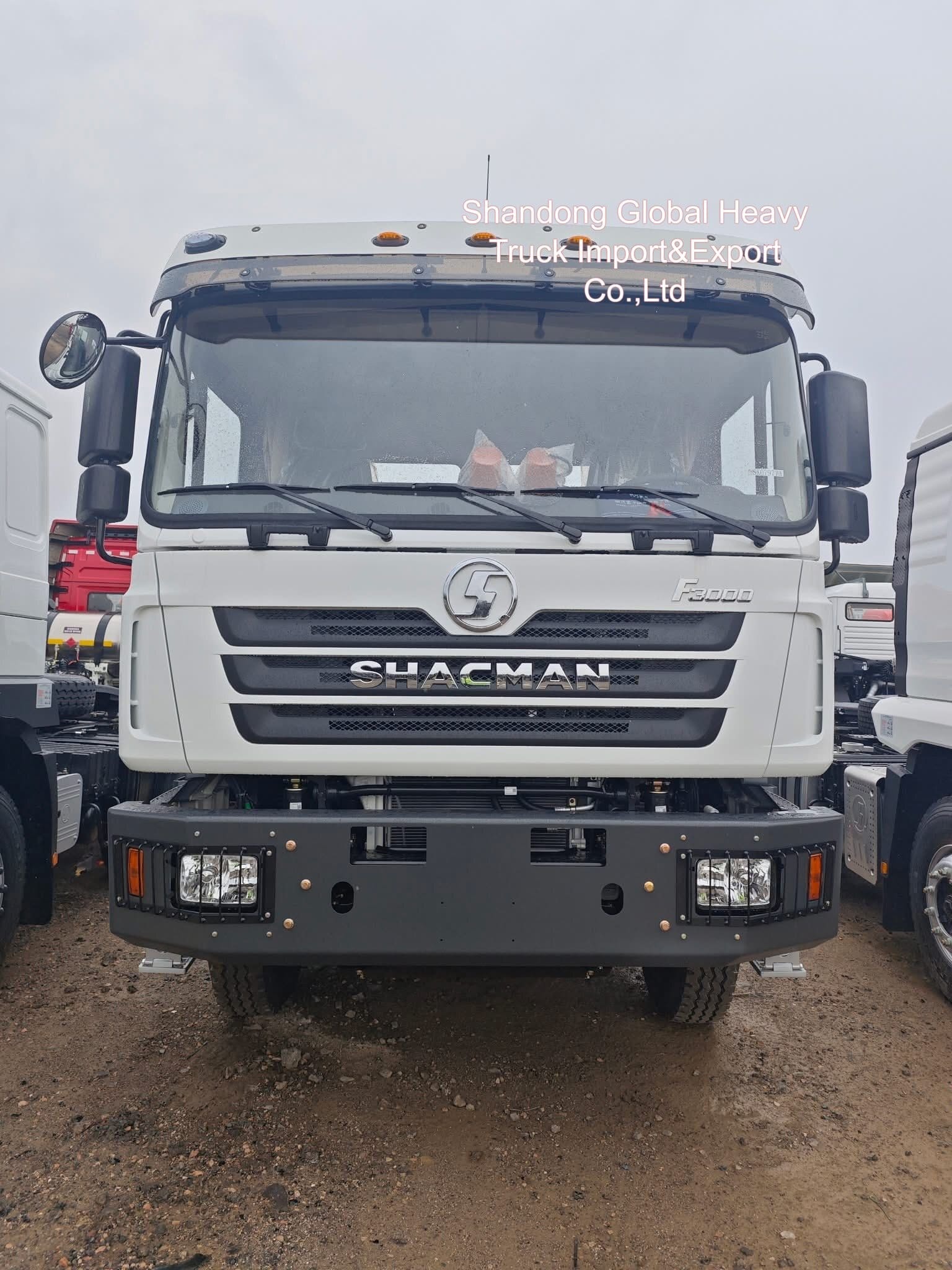Shacman X3000 F3000 M3000 6X4 340 CV 380 CV 400 CV 420 CV 40 tonnellate